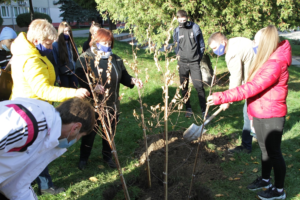  Як легко буде дихатись під цими деревцями!